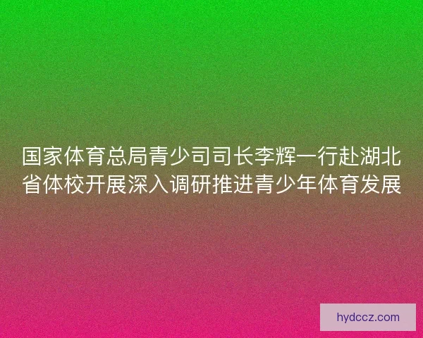 国家体育总局青少司司长李辉一行赴湖北省体校开展深入调研推进青少年体育发展 国家体育总局青少司司长李辉一行赴湖北省体校开展深入调研推进青少年体育发展