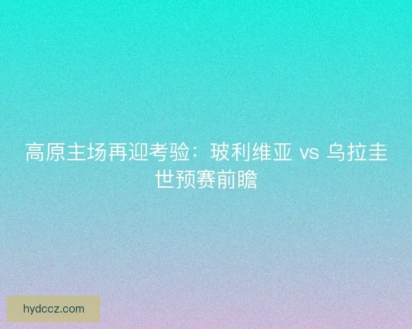高原主场再迎考验：玻利维亚 vs 乌拉圭世预赛前瞻