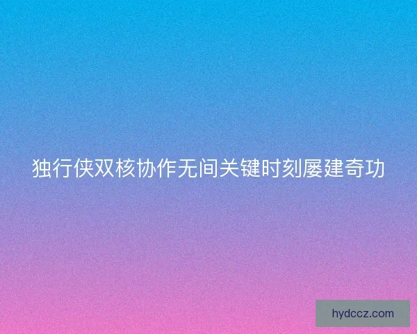 独行侠双核协作无间关键时刻屡建奇功