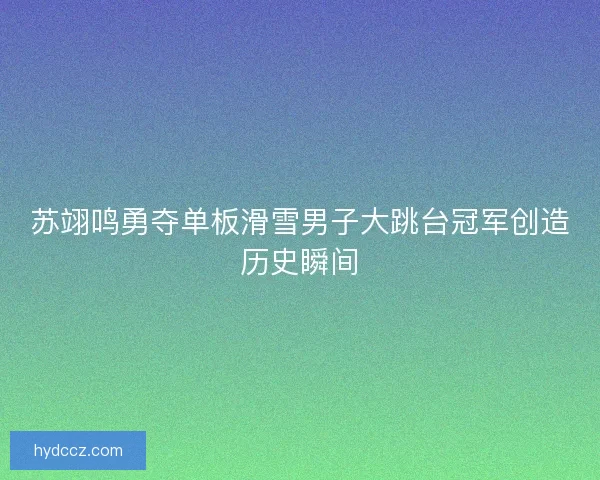 苏翊鸣勇夺单板滑雪男子大跳台冠军创造历史瞬间